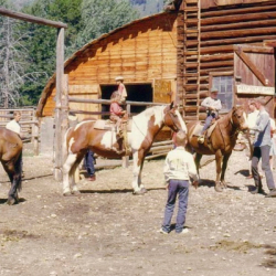 10_Barn Activities