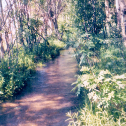 11_Water