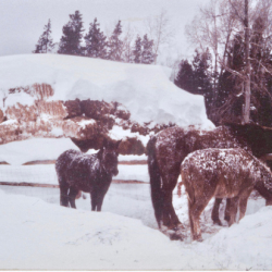 13_Winter Activities