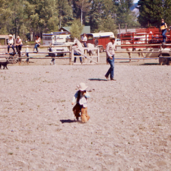 14 Rodeo Parade