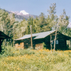 15_guest cabin