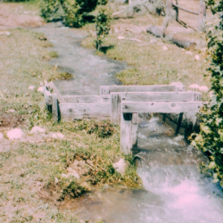 15_natural park