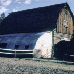 15a Original Log
