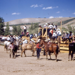16 Rodeo Competitive