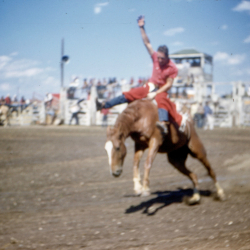 17 Rodeo Competitive