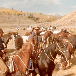 17_horse drive