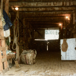 18_Original Log