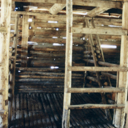 19_Original Log
