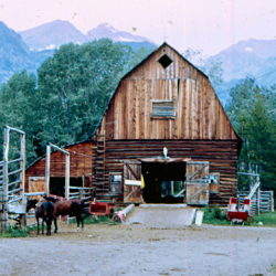 1a Barn Activities