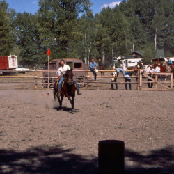 20 rodeo competitive