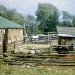 20_Ranch Go