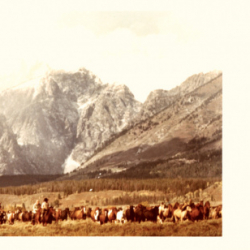20a_horse drive