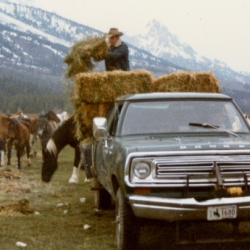 23_Ranch Go