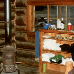 24_guest cabin