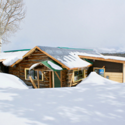 25_WinterRehab