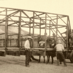 27 rodeo competitive