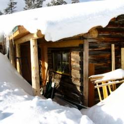 29_WinterRehab