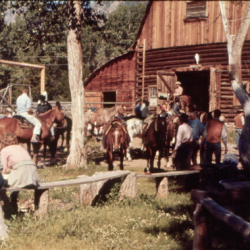 2_Barn Activities