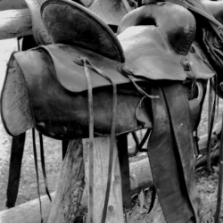 3 Rodeo Prep