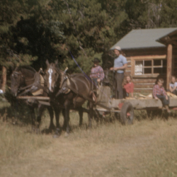3 ranch activites