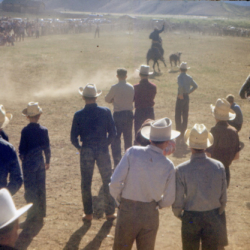 33 rodeo gallery