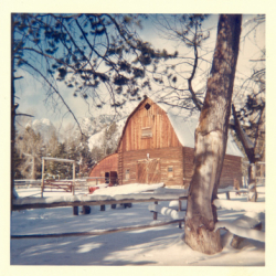 35_Winter Gallery