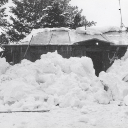 37_Winter Gallery