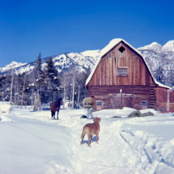 3_Winter Views