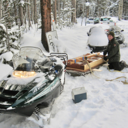 40_WinterGallery