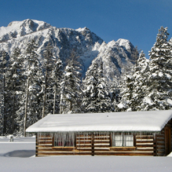 41_WinterGallery