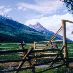 5_The Landscape