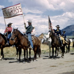 6 Rodeo Parade