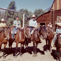 6_Barn Activities
