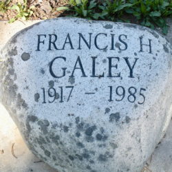 6_Frank Galey