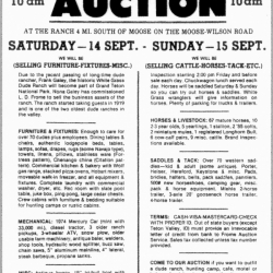 8_Auction Fire