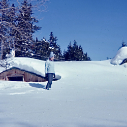 8_Heavy Snows