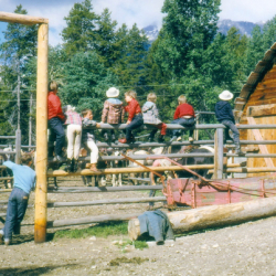 9_Barn Activities