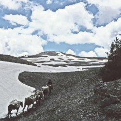 OnTheTrail4