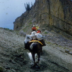 PackTripGallery4