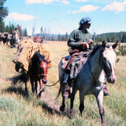 PackTrips9
